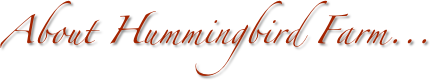 About Hummingbird Farm...